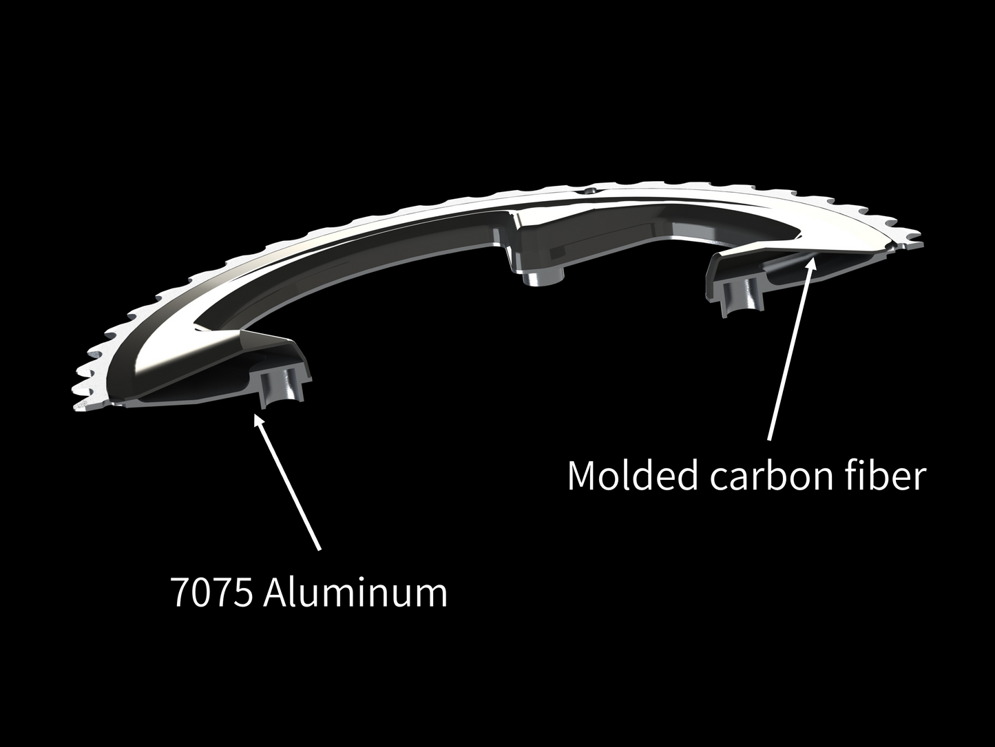 Carbon hollow chainring